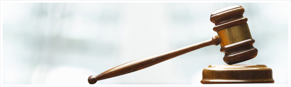 Slide Disclaimer image